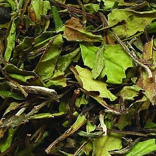 Bio "Pai Mu Tan" Weißer Tee China